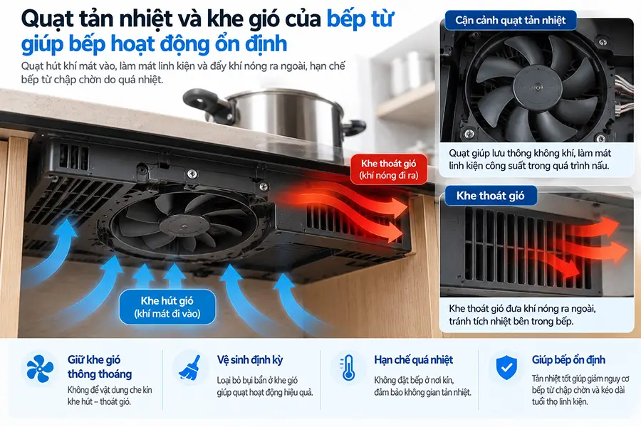 Kiểm tra quạt khi bếp từ chập chờn sau thời gian nấu